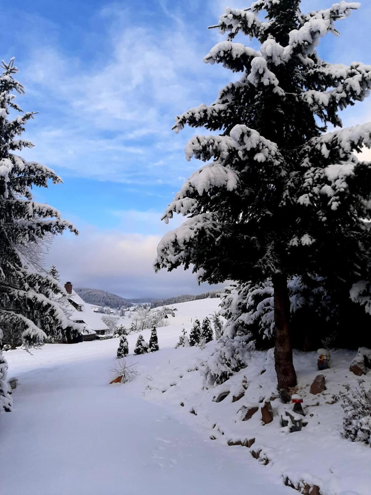 Apartmán Haus Zum Sternen Vöhrenbach Exteriér fotografie