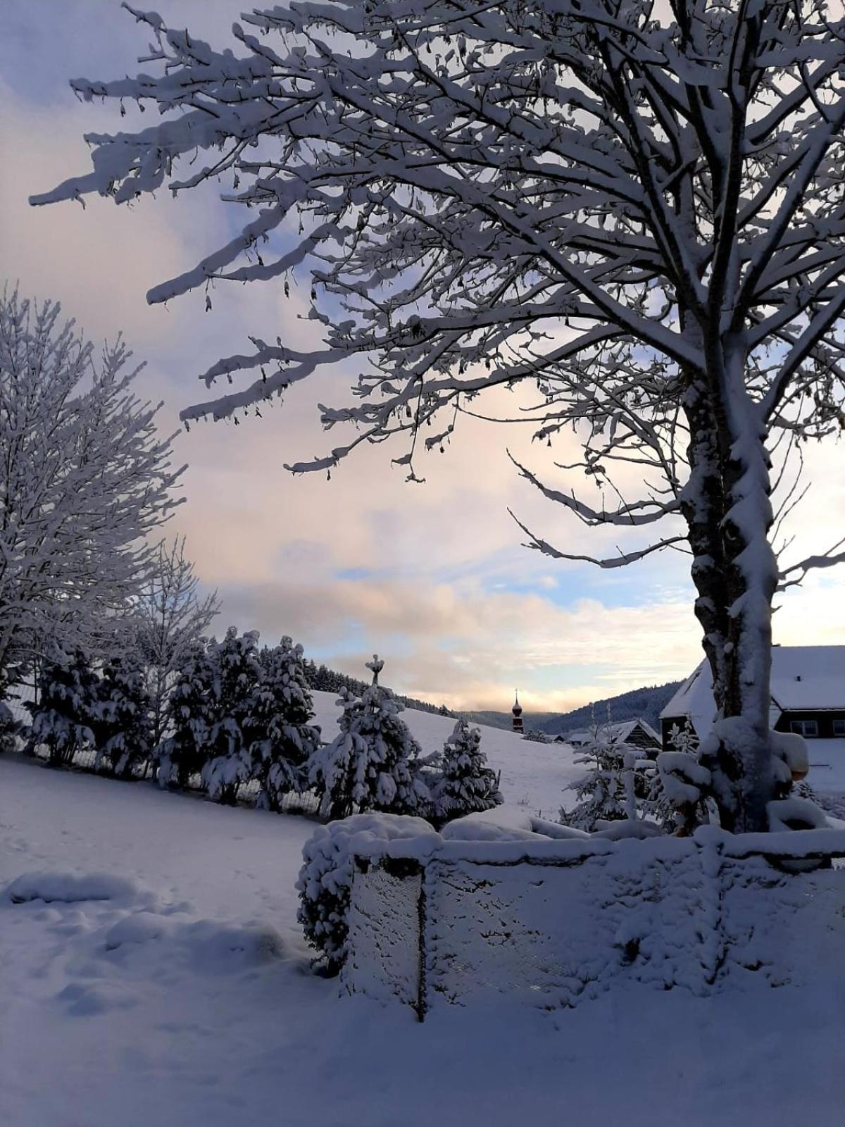 Apartmán Haus Zum Sternen Vöhrenbach Exteriér fotografie