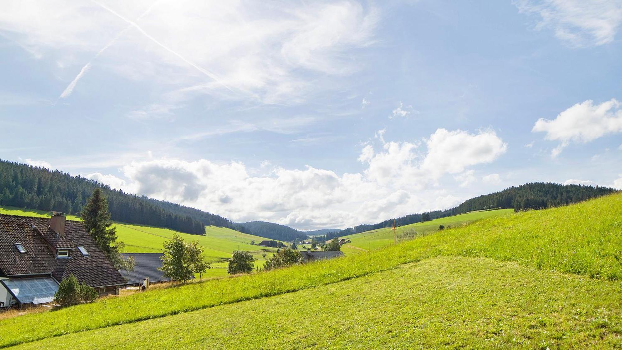 Apartmán Haus Zum Sternen Vöhrenbach Exteriér fotografie